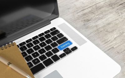 De Stagiaire à Data Analyst en 6 Mois : Le Guide Ultime pour Gravir les Échelons